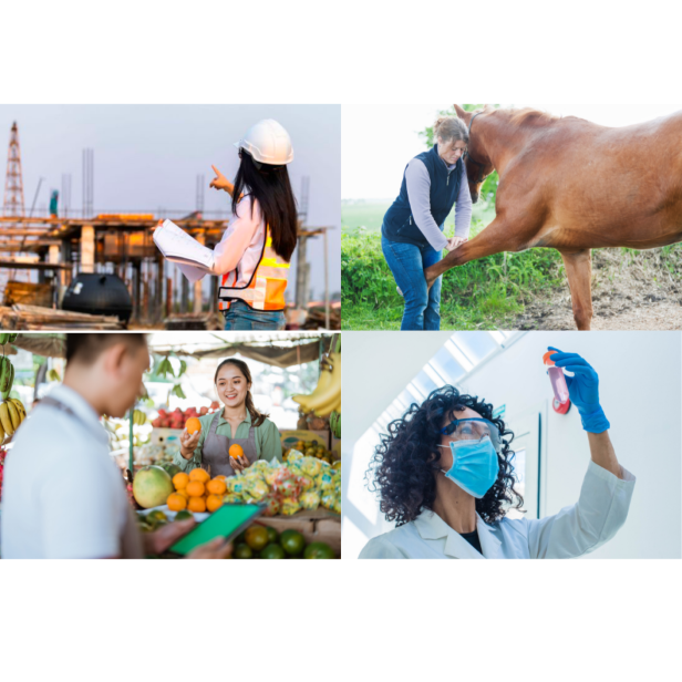 Le premier outil de mesure de l&rsquo;inclusion en santé des femmes à l&rsquo;attention des employeurs.